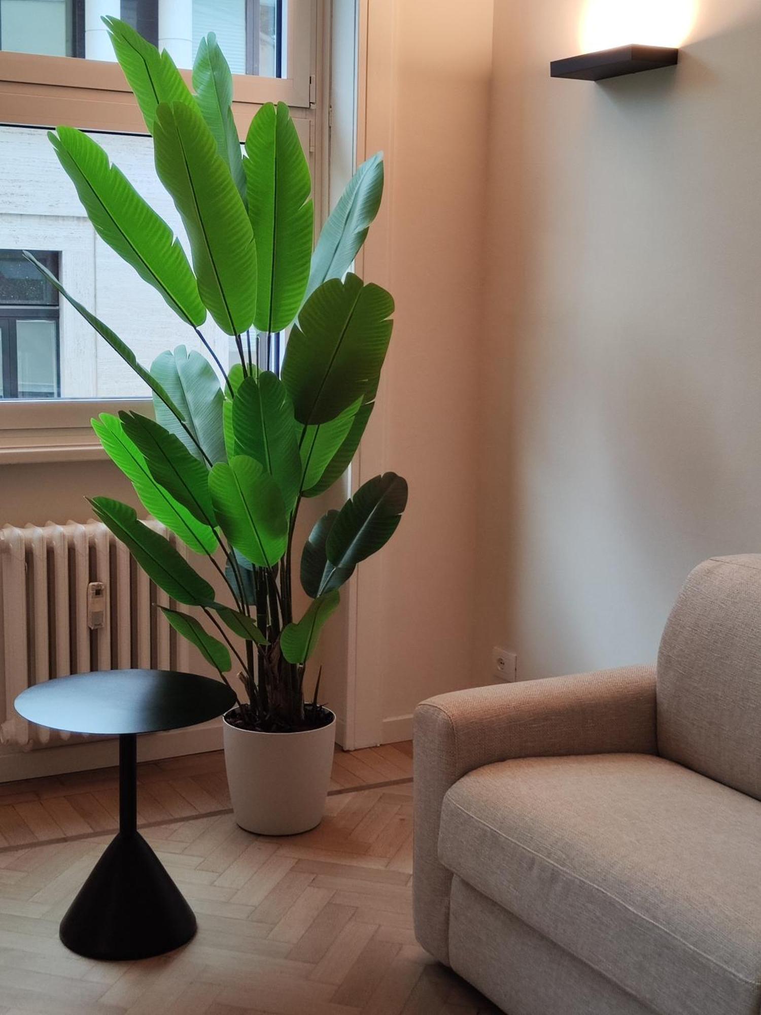 Domus Nova - Rubino Appartement *
